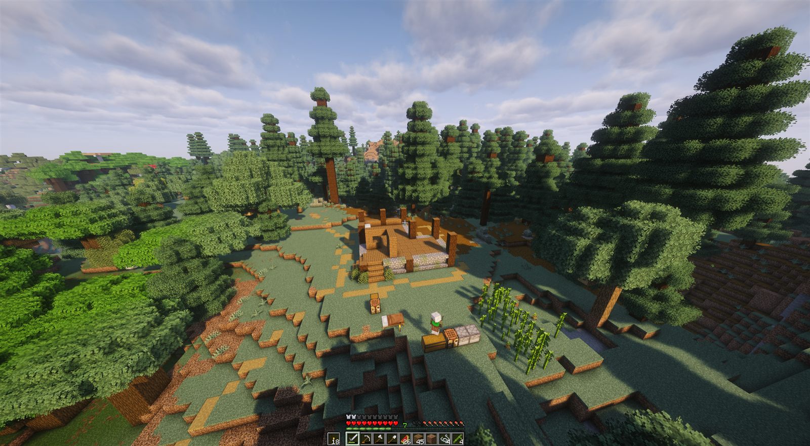 Homestead in the pines from above